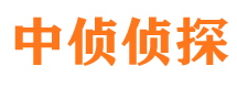 东坡市婚外情调查